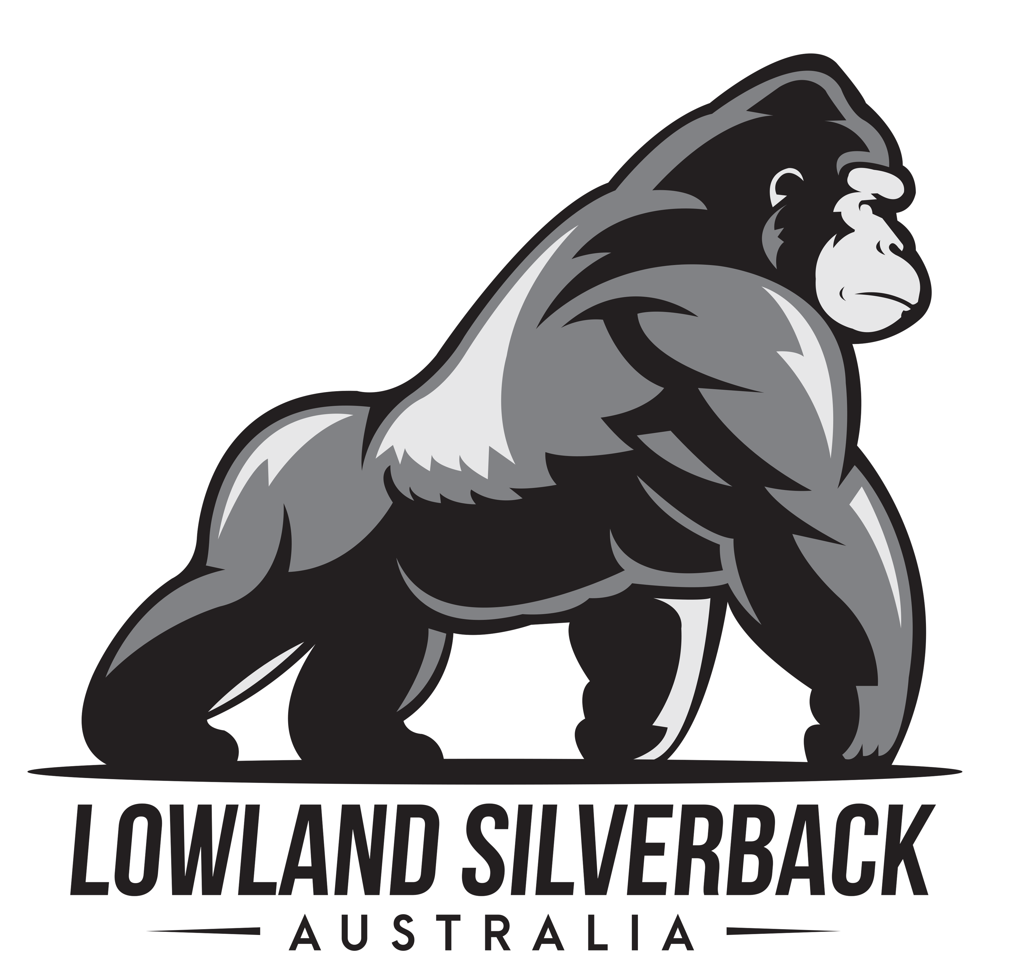 Contact Us Lowland Silverback Capital Pty Ltd contact-us-lowland-silverback-capital-pty-ltd
